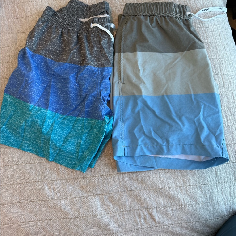 Men's Blue and Gray Swim Shorts - Chubbies + Mcmagic